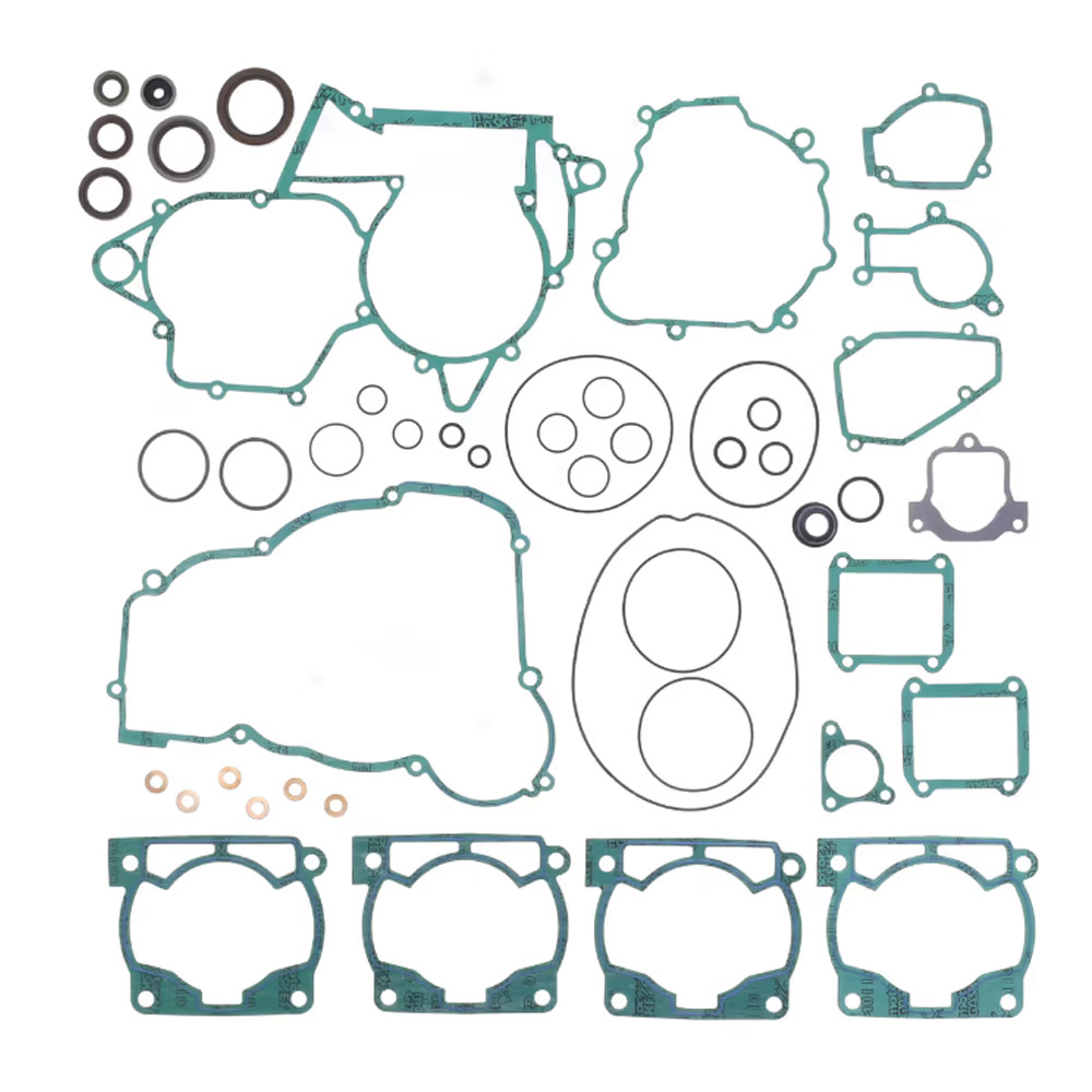 GASKET FULL SET + OIL SEALS BETA ENDURO 2T 250-300RR 13-25  (R)